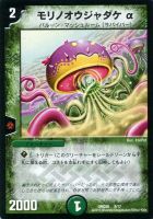 【デュエマ】緑)DMD26弾◇モリノオウジャダケα