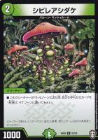 デュエルマスターズ ブレイン珊瑚の仙樹 Amazon.co.jp: デュエルマスターズ DMEX18 18/75 エターナル