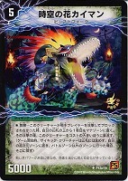 時空の花カイマン