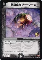 【デュエマ】プロモ◇卵胞虫ゼリー・ワーム