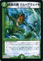 【デュエマ】アンコモン◇成長の面　ナム＝アウェイキ