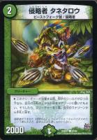 【デュエマ】コモン◇侵略者　タネタロウ