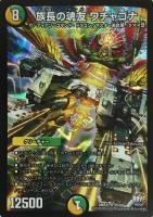 デュエルマスターズ 次元の霊峰 次元の霊峰(DM11 55/55) | デュエル・マスターズ
