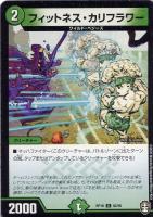 【デュエマ】コモン)白ロゴ◇フィットネス・カリフラワー