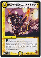 【デュエマ】コモン◇天命の精霊ワガハイ・キャット
