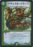 【デュエマ】レア◇ナチュラル・トラップ