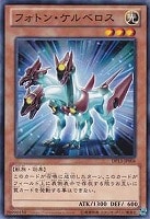 【遊戯王】ノーマル◇フォトン・ケルベロス