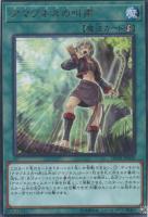 【遊戯王】レア◇アマゾネスの叫声