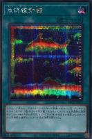 カードを買う/遊戯王/デュエリストパック/深淵のデュエリスト編 カードを買う/遊戯王/デュエリストパック/深淵のデュエリスト編