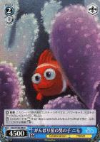 【ヴァイス】Ｃ◇がんばり屋の男の子　ニモ