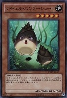 遊戯王 超古代生物の墓場 コレクターズレア psa10 bonanza 超古代生物の墓場【遊戯王トレカお買得価格通販：トレコロ】