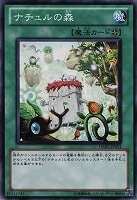 【遊戯王】ノーマル)魔法◇ナチュルの森