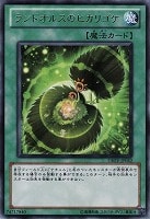 【遊戯王】レア◇ランドオルスのヒカリゴケ