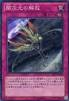 【遊戯王】ノーマル◇闇次元の解放