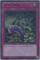 遊戯王カード 電脳堺姫－娘々 遊戯王】電脳堺姫-娘々 | トレカ販売 - トレマ