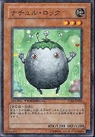 遊戯王　ナチュルビースト　DTCシークレットレア 遊戯王 ナチュルシンクロ シークレットレア3枚セット【DTC版