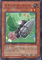 【遊戯王】ノーマル◇ナチュル・アントジョー