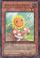 【遊戯王】ノーマル◇ナチュル・サンフラワー