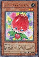 【遊戯王】ノーマル◇ナチュル・トライアンフ