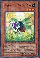 【遊戯王】ノーマル)モンスター◇ナチュル・フライトフライ