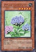 【遊戯王】ノーマル)モンスター◇ナチュル・ハイドランジー