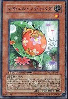 【遊戯王】ノーマル)モンスター◇ナチュル・レディバグ