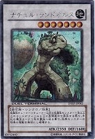魔轟神獣ユニコール【遊戯王トレカ高価買取価格査定：トレコロ】