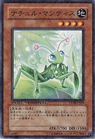 【遊戯王】ノーマル)モンスター◇ナチュル・マンティス