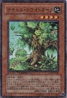 【遊戯王】スーパーレア◇ナチュル・ホワイトオーク