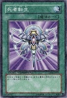 【遊戯王】ノーマル◇死者転生