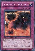 【遊戯王】ノーマル◇スキル・サクセサー