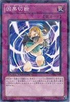 【遊戯王】ノーマル◇因果切断