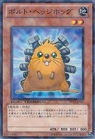 Aiの儀式 | カード詳細 | 遊戯王ニューロン ( オフィシャル