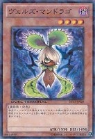 【遊戯王】ノーマル◇ヴェルズ・マンドラゴ