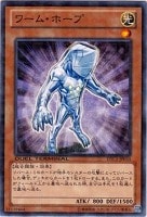 【遊戯王】ノーマル◇ワーム・ホープ