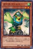 【遊戯王】ノーマル◇ガスタ・ファルコ