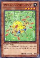 【遊戯王】ノーマル◇ナチュル・スパイダーファング
