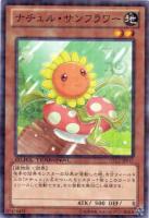 ダイガスタ・エメラル【遊戯王トレカ高価買取価格査定：トレコロ】