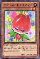 【遊戯王】ノーマル)モンスター◇ナチュル・トライアンフ