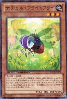 【遊戯王】ノーマル◇ナチュル・フライトフライ