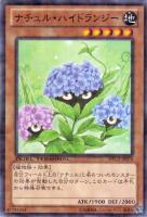 【遊戯王】ノーマル◇ナチュル・ハイドランジー