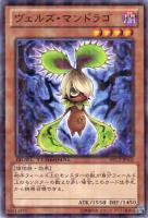 【遊戯王】ノーマル◇ヴェルズ・マンドラゴ