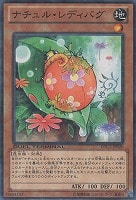 遊戯王 ジェムナイトマスターダイヤ シークレット DT ジェムナイトマスター・ダイヤ【遊戯王トレカ高価買取価格査定