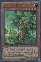 【遊戯王】スーパーレア◇ナチュル・ホワイトオーク