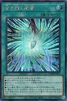 原石竜ネザー・ベルセリウス【遊戯王トレカお買得価格通販