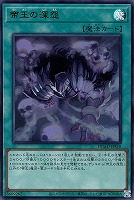 麗しき磁律機壊【遊戯王トレカお買得価格通販：トレコロ】