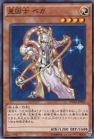 電脳堺姫－娘々【遊戯王トレカお買得価格通販：トレコロ】