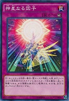 ジェムナイト・セラフィ【遊戯王トレカお買得価格通販：トレコロ】