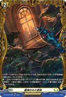 【ヴァンガード】ＦＲ◇監視された密会