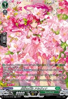 【ヴァンガード】ＳＲ◇友好の乙女　アルヴィナ